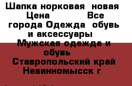 Шапка норковая, новая › Цена ­ 5 000 - Все города Одежда, обувь и аксессуары » Мужская одежда и обувь   . Ставропольский край,Невинномысск г.